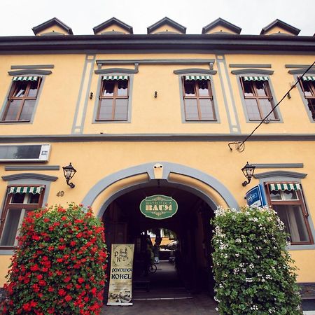 Pension Kokel Dumbraveni  Exterior photo