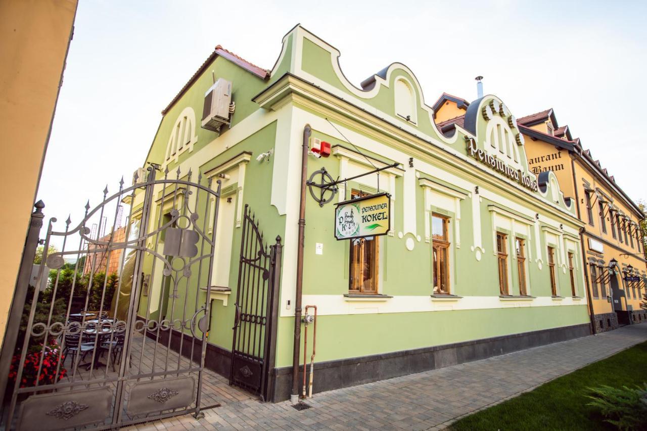 Pension Kokel Dumbraveni  Exterior photo